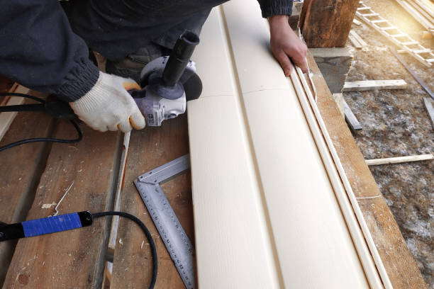 Best Fascia and Soffit Installation  in South Valley, NM